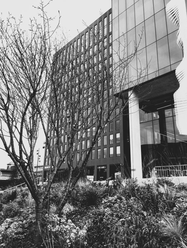 Office building Office building of circa 15 storeys with landscaping in foreground